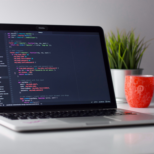 Starting Website Development