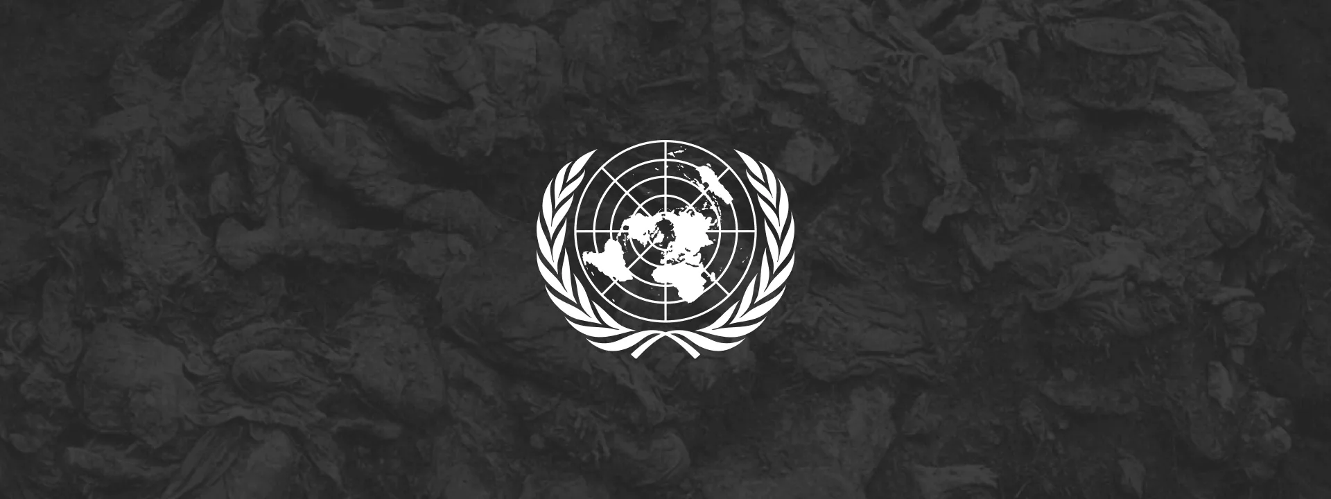 united nations web development project