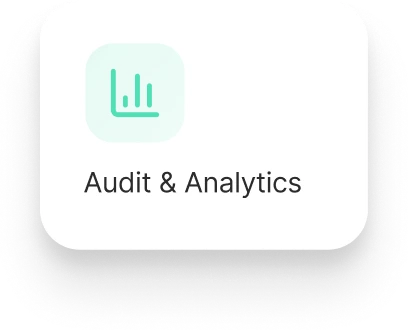 Audit and Analysis